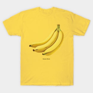 Botanical illustration of Banana (Musa) T-Shirt